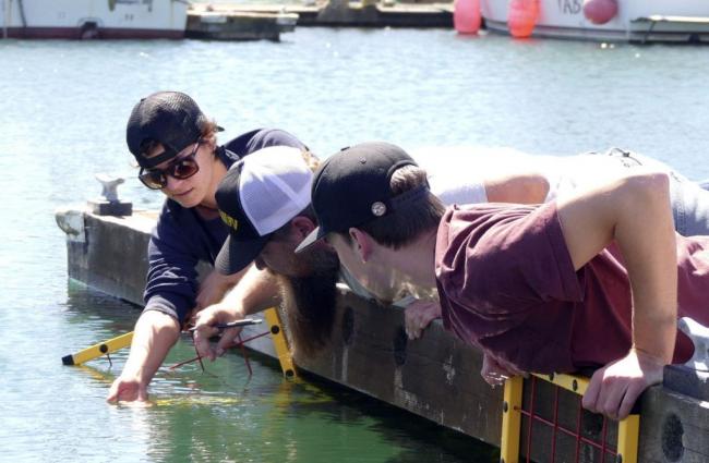 Three people laying on a dock taking water samples